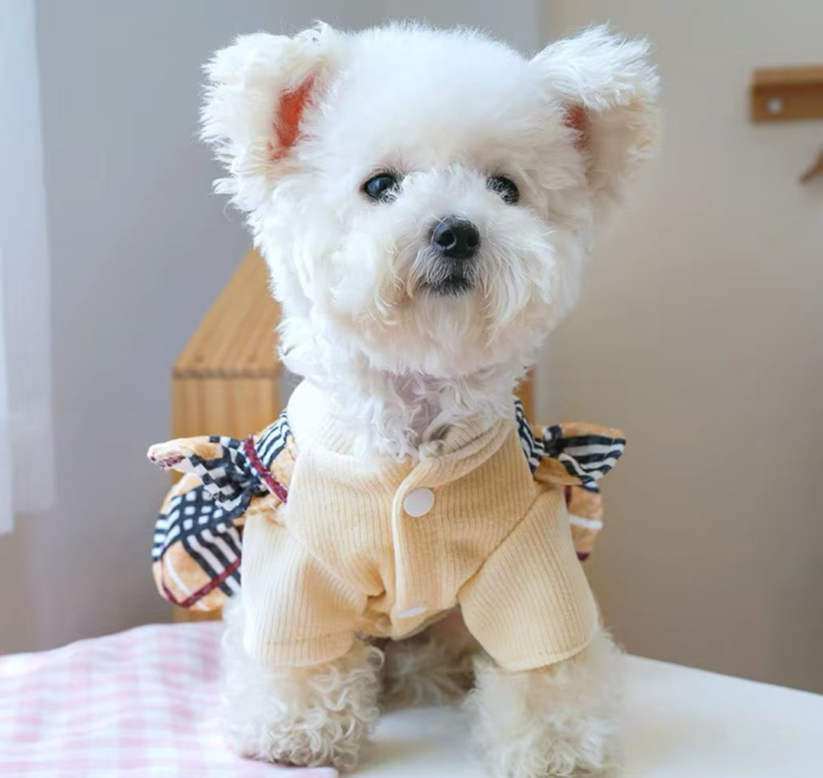 Brrbrry Dog Dress | Dog Dress for Special Occasions