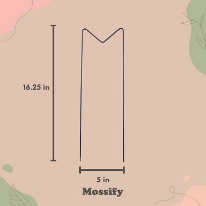 "M" Metal Trellis