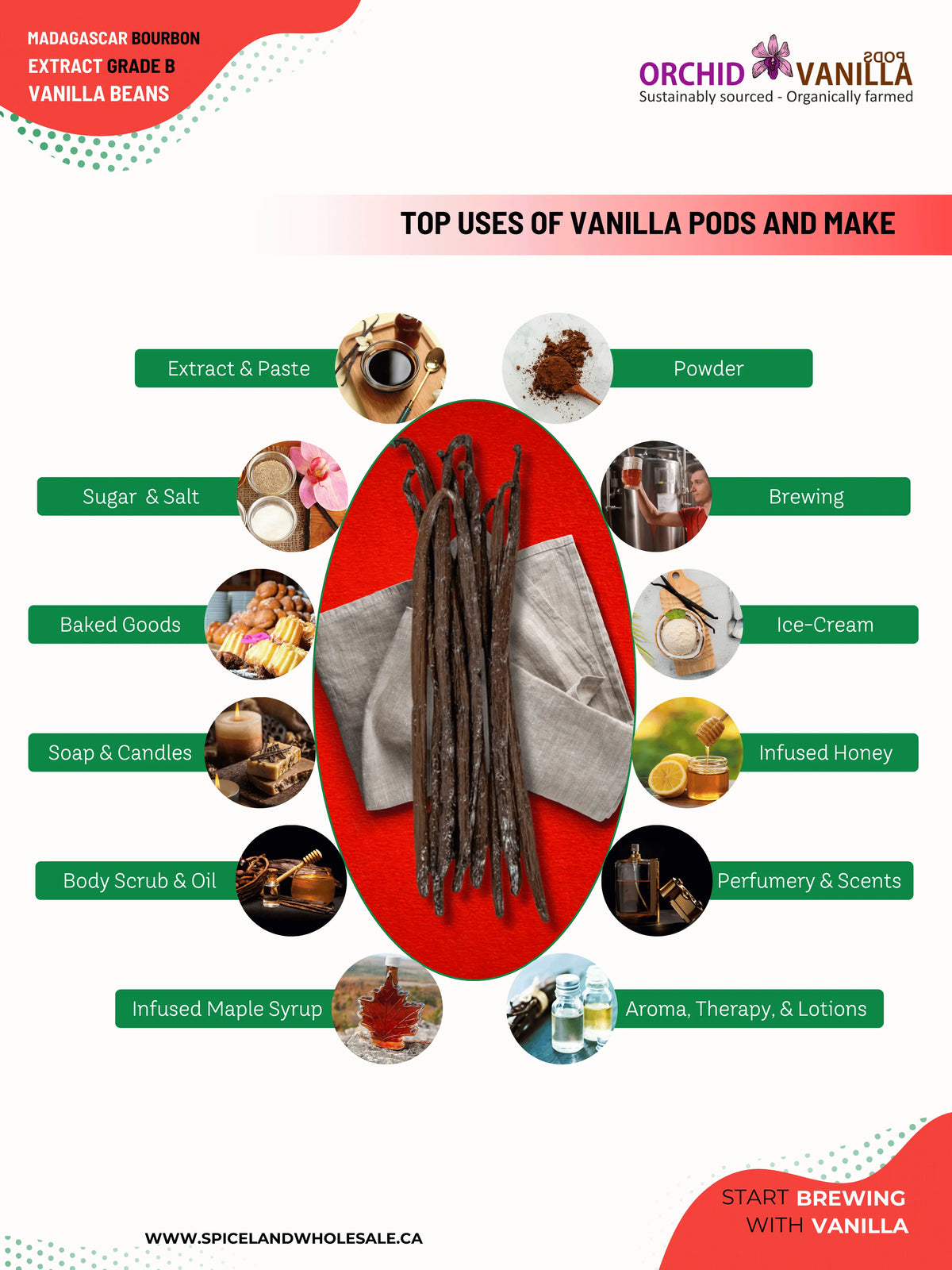 Madagascar Bourbon Extract Vanilla Beans Grade-B <br>For Extract Making<BR>By Count