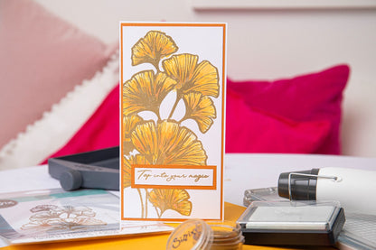 Sizzix Set de 4 Tampons Transparents Cosmopolitan, Inspire par Stacey Park