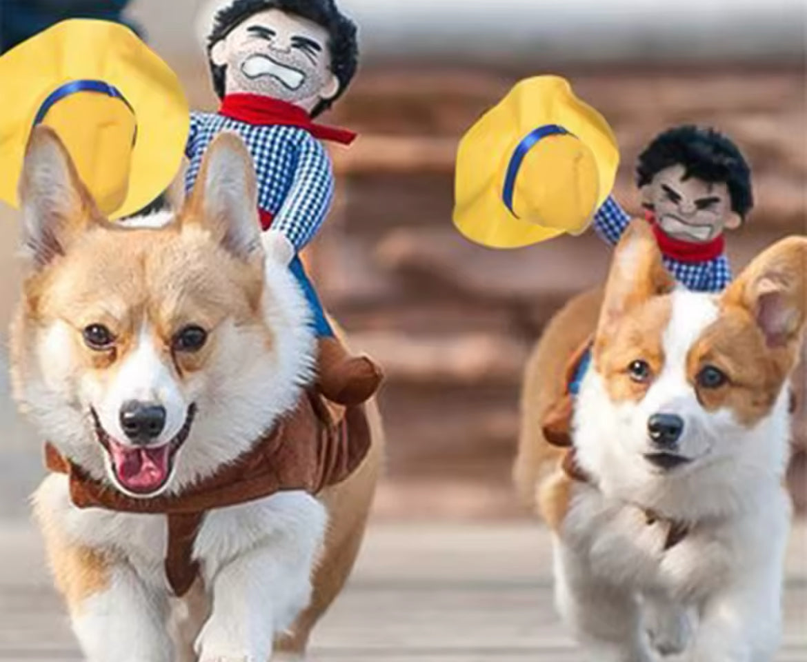 Déguisement de cowboy pour chien - Costume de chien western