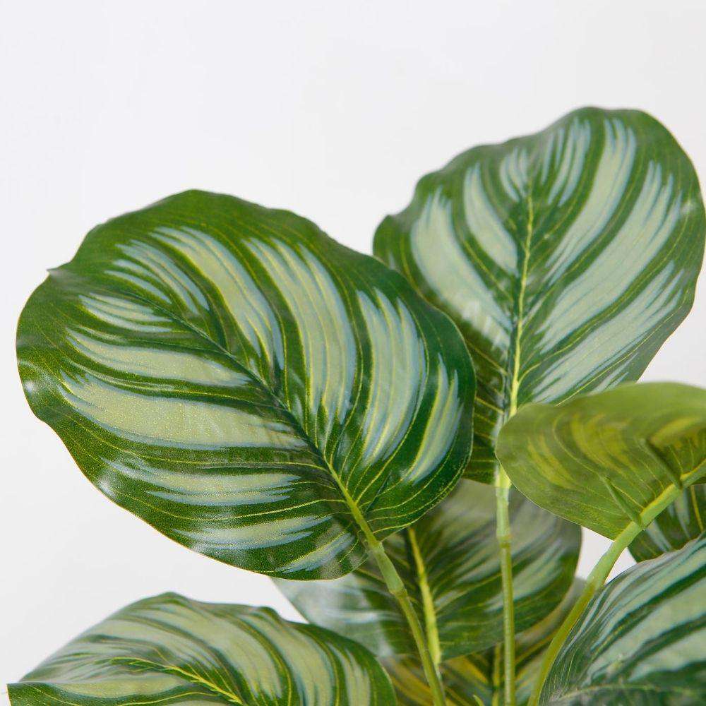 Calathea artificielle en pot