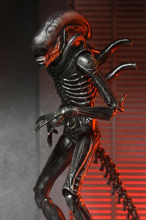 Alien: Romulus Xénomorphe ultime XX121