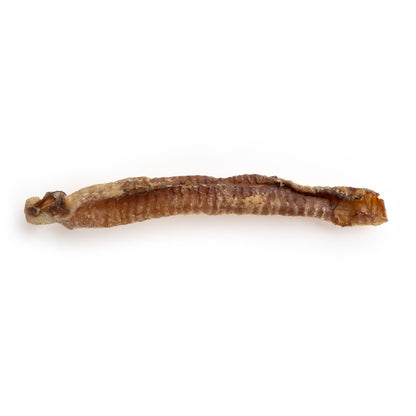 Trachée d'agneau de 7 po et plus