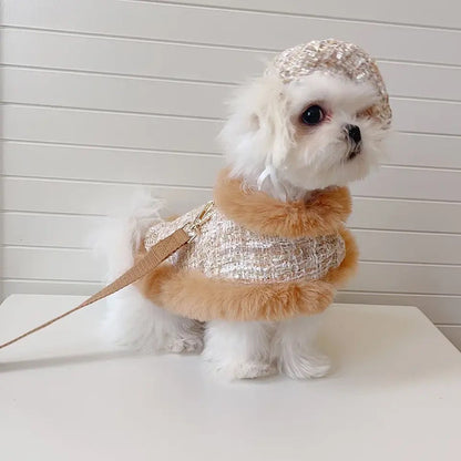 Dog Harness Hat & Leash Set | Cappuccino Tweed Dog Walking Set