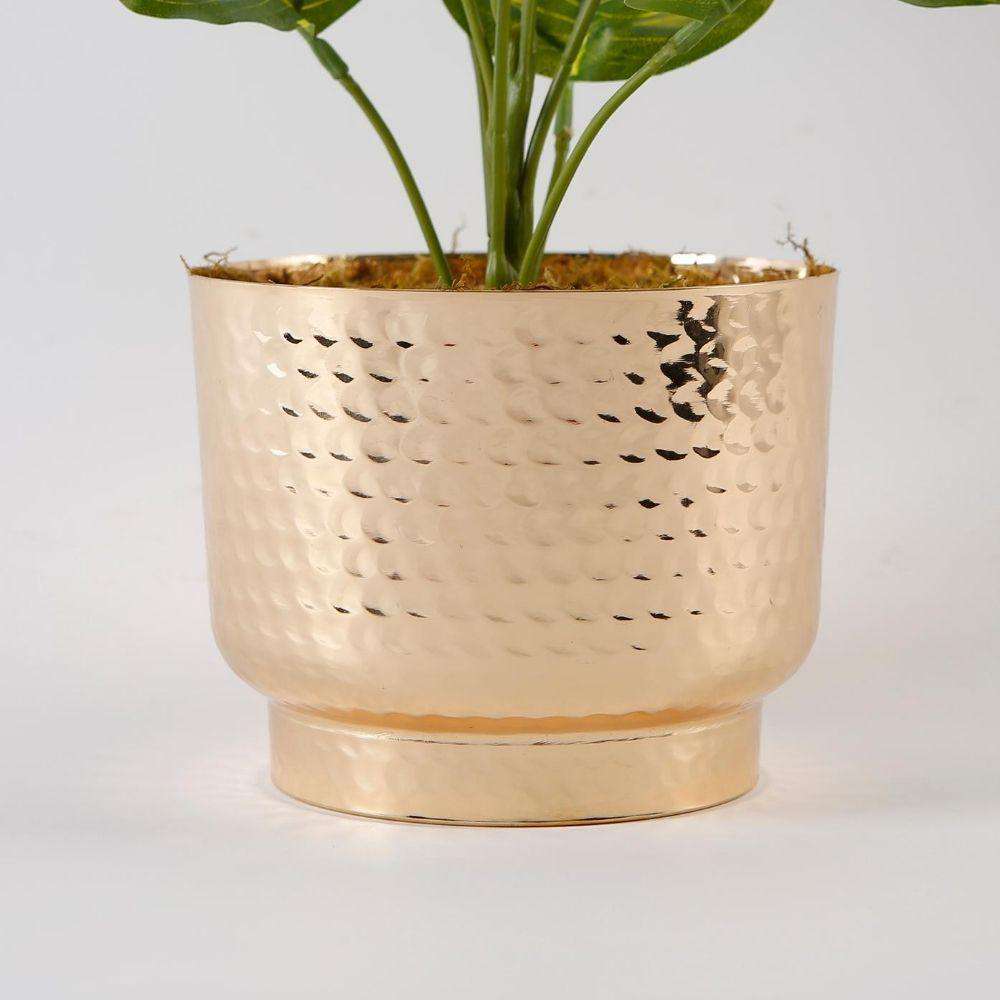 Calathea artificielle en pot