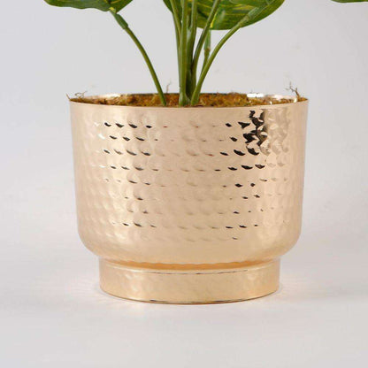 Calathea artificielle en pot