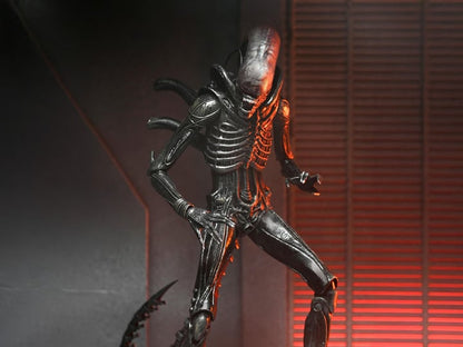 Alien: Romulus Xénomorphe ultime XX121