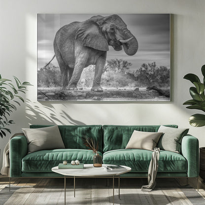 Art mural Fierté. Éléphant