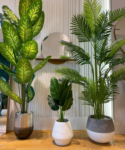 Dira Artificial Evergreen Potted Plant (Multiple Sizes)