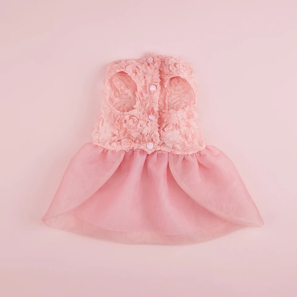 Robe Daphné