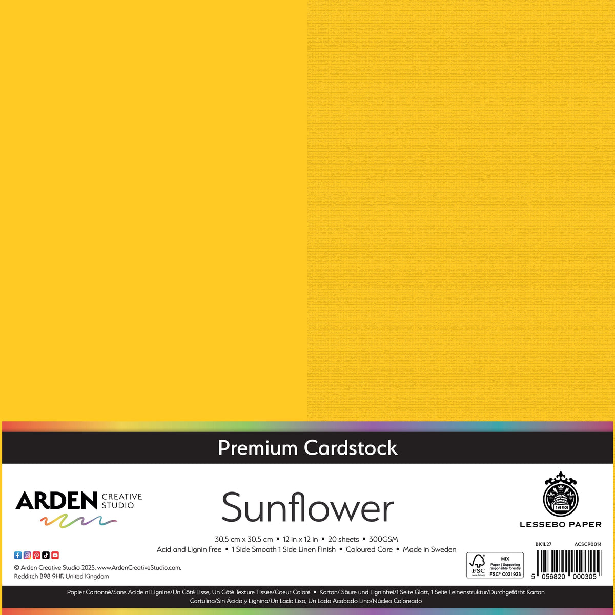 Arden Creative Studio Premium Cardstock 12in x 12in 300gsm 20 Pack