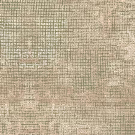 Craie et Charbon – Champignon Écran – Dos de Couverture 274cm
