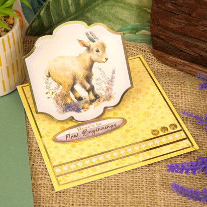 Adorables Animaux Sélection Scorable Adorable
