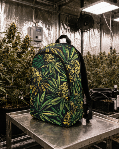 Pack Réserve Grosses Têtes
