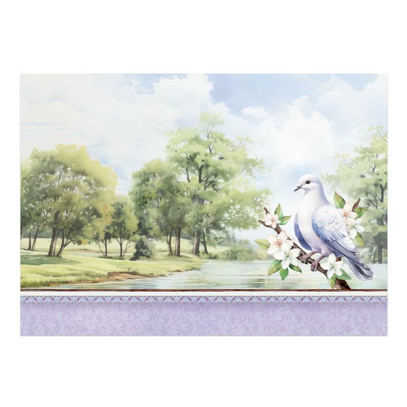Set Déco-Large Oiseaux Magnifiques - Colombe Charmante