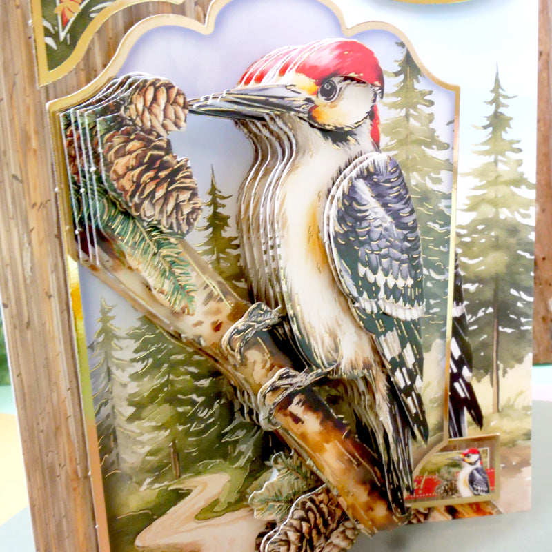 Magnifique kit Deco-Large Oiseaux - Merveilleux Pic
