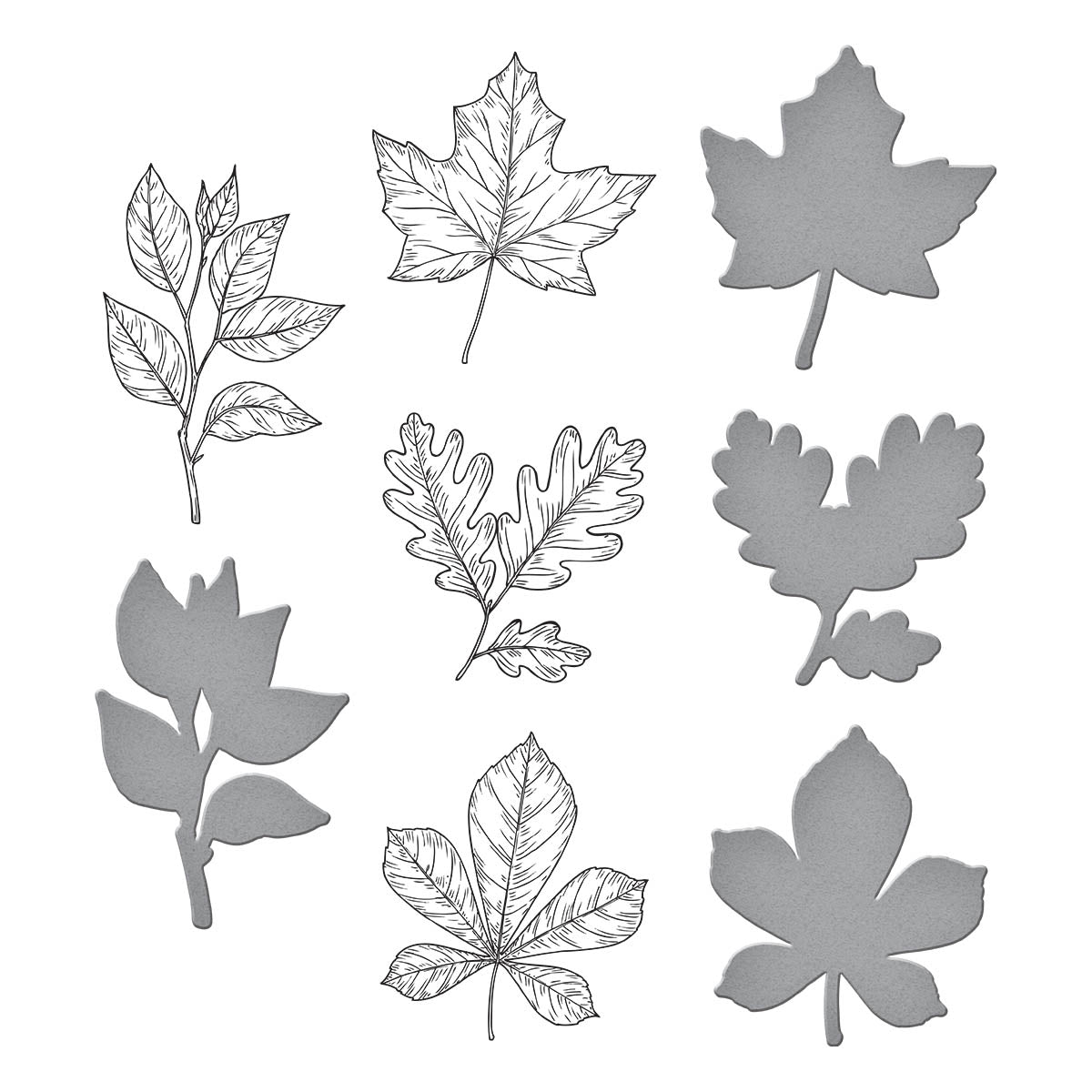 Plaque de presse et matrices Feuilles d'automne de la collection BetterPress Automne