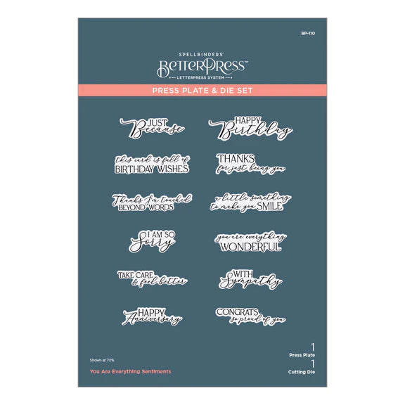 Vous êtes l'ensemble de plaques et de matrices Everything Sentiments de la collection Pressed Posies