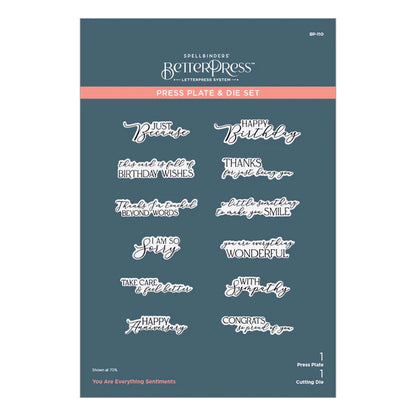 Vous êtes l'ensemble de plaques et de matrices Everything Sentiments de la collection Pressed Posies