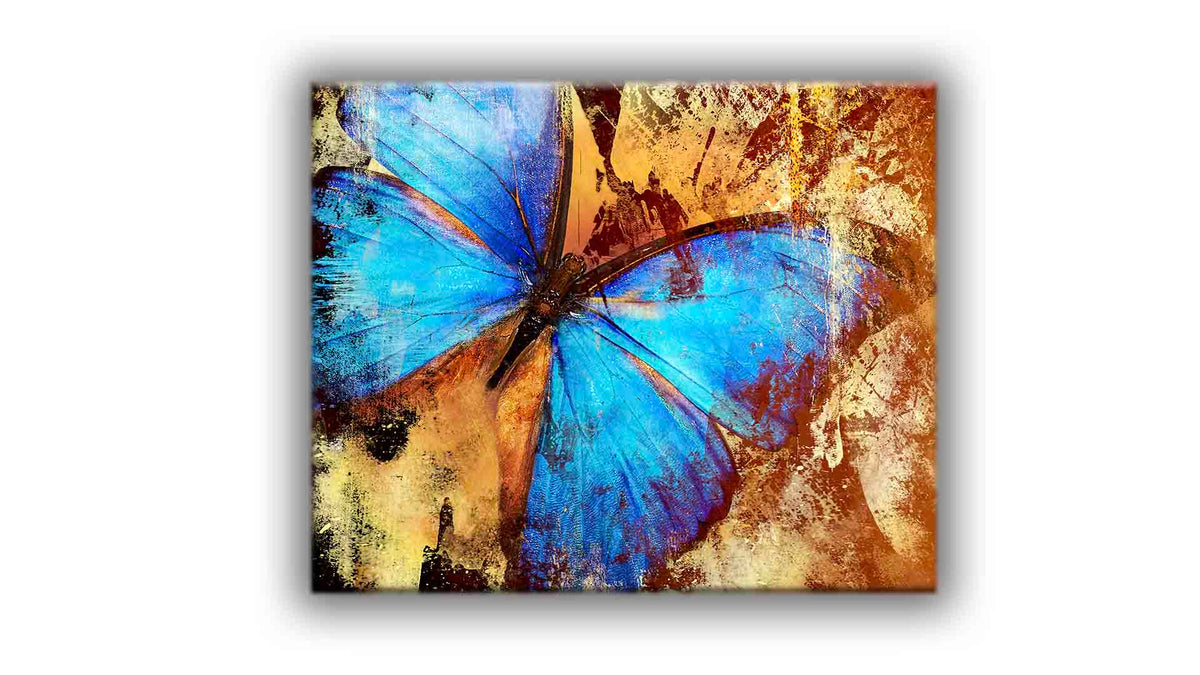 Toile imprimée-Papillon-Décoration murale