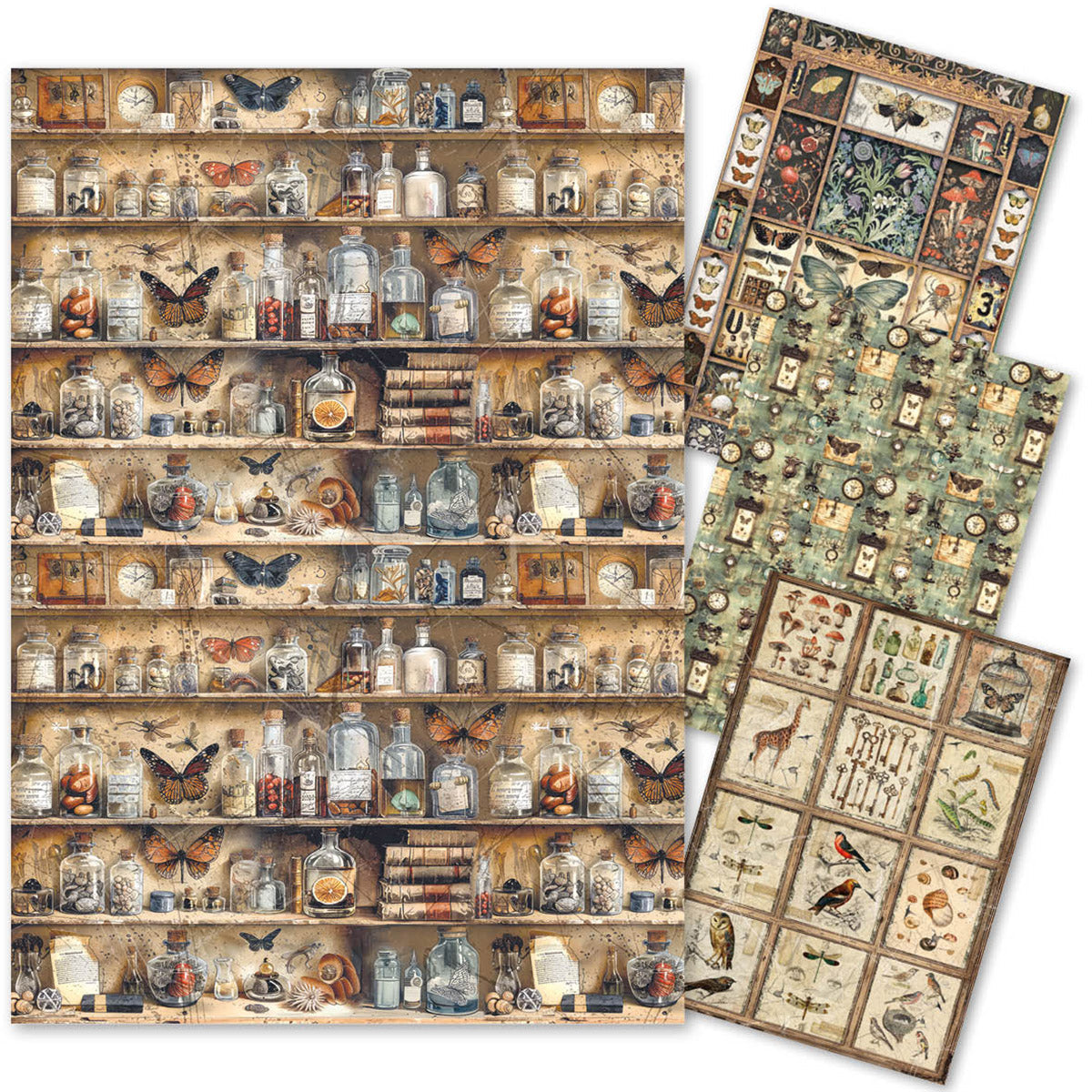 Rice Paper A4 MIXED 4/Pkg Cabinet Of Curiosities