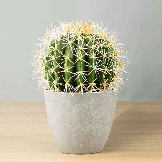 Plante Artificielle Coco Cactus en Pot 28 cm