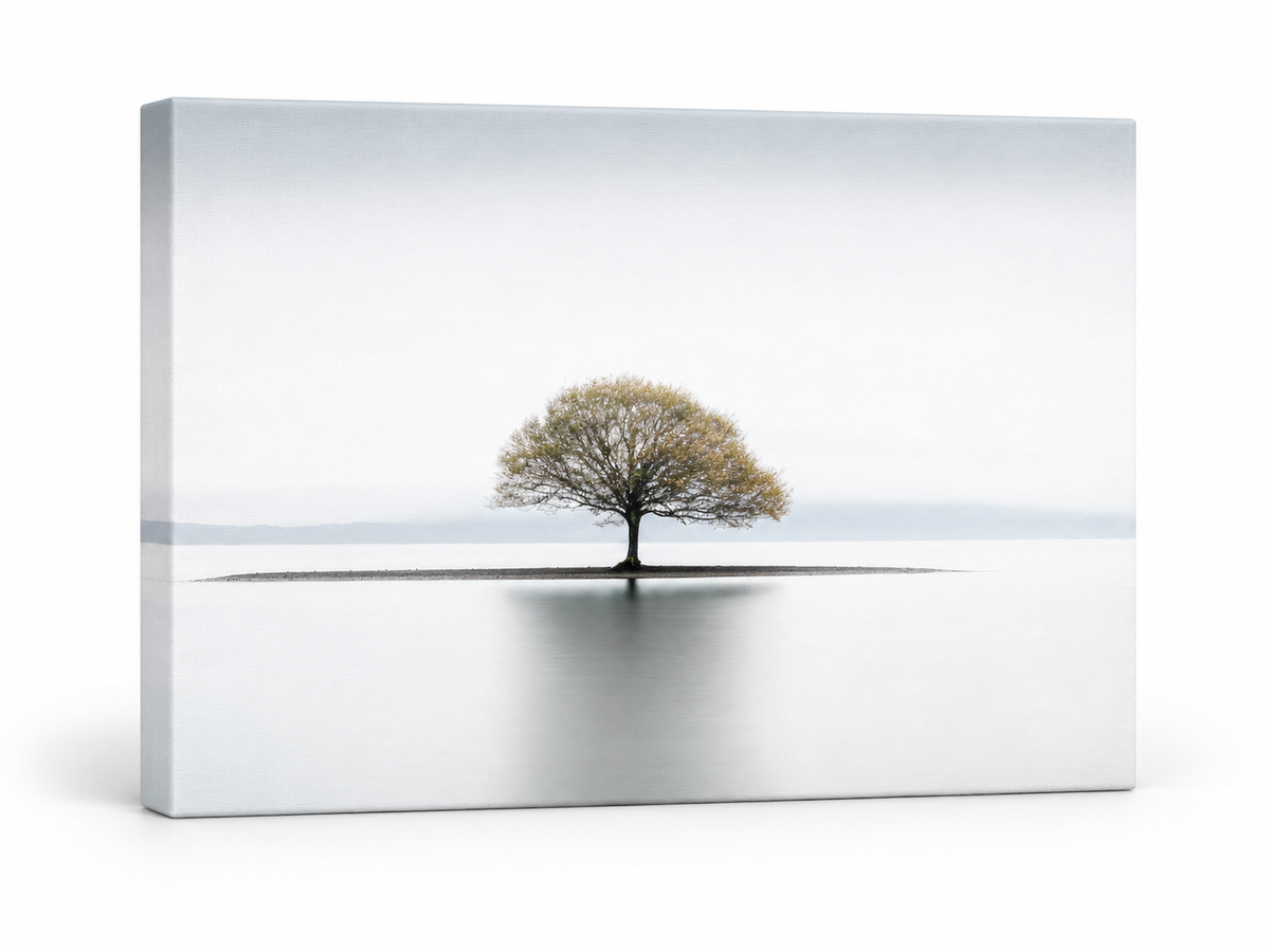 Impression sur toile-Solitude-Décoration murale