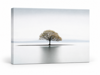 Impression sur toile-Solitude-Décoration murale