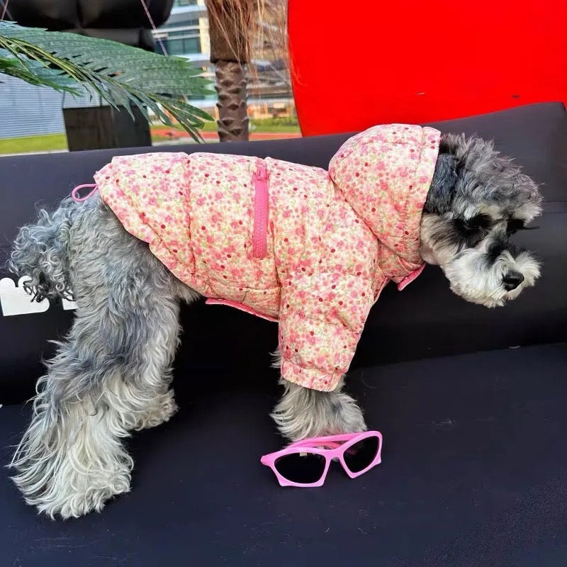 Veste de printemps