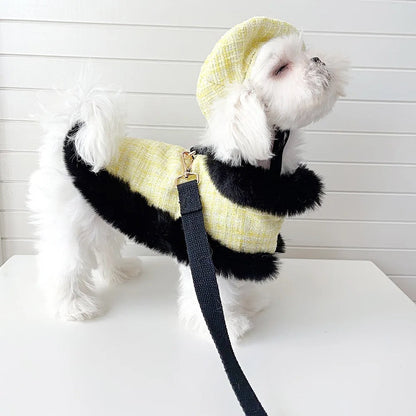 Ensemble harnais et laisse et chapeau en tweed écossais pour chien