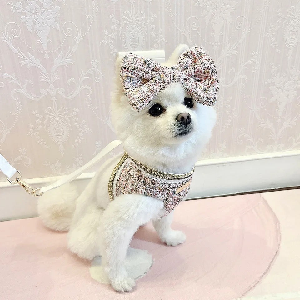 Ensemble Harnais et Laisse pour Chien | Ensemble de Promenade Isabella Tweed à Nœud Papillon