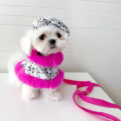Ensemble Harnais Ultra Violet | Harnais, laisse et chapeau pour chien