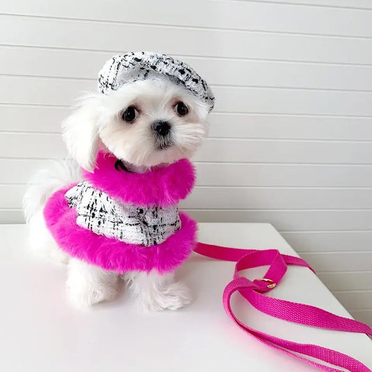 Ultra Violet Harness Set | Dog Harness Leash and Hat Set