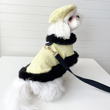 Ensemble harnais et laisse et chapeau en tweed écossais pour chien