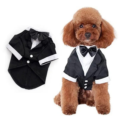 Midnight Regent Two-Piece Dog Suit | Formal Dog Outfit Set