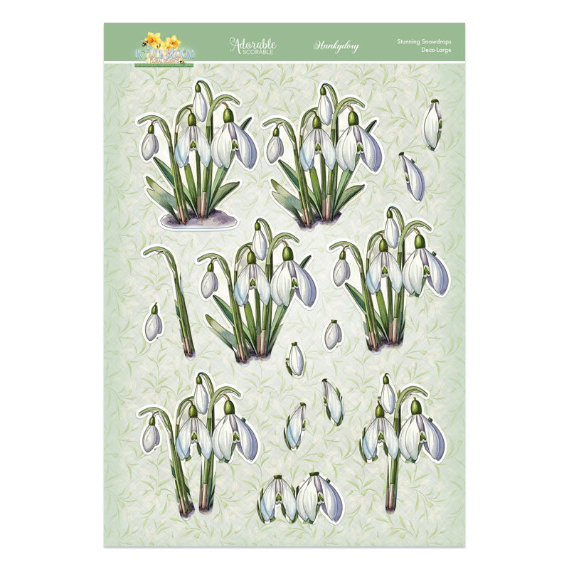 In Full Bloom - Floral Delights Deco-Large Set - Stunning Snowdrops