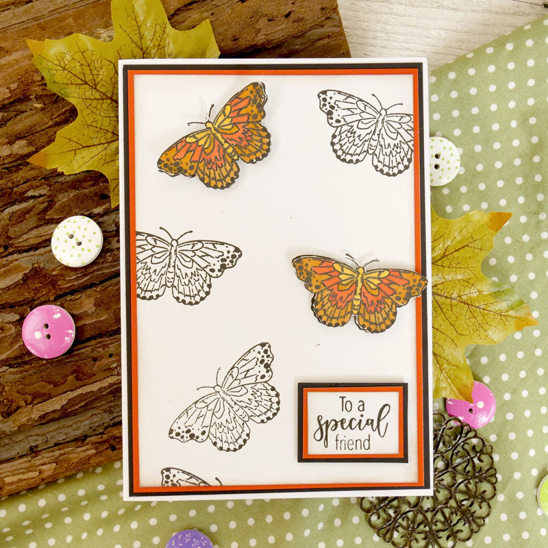 Pour l'amour des timbres - Magnifiques papillons