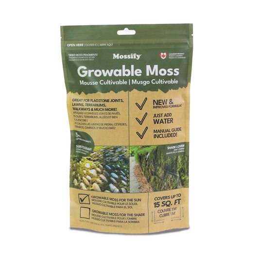 Native Boreal Mix Growable Moss for the Sun