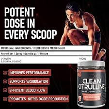 VNDL Project L-Citrulline Pure