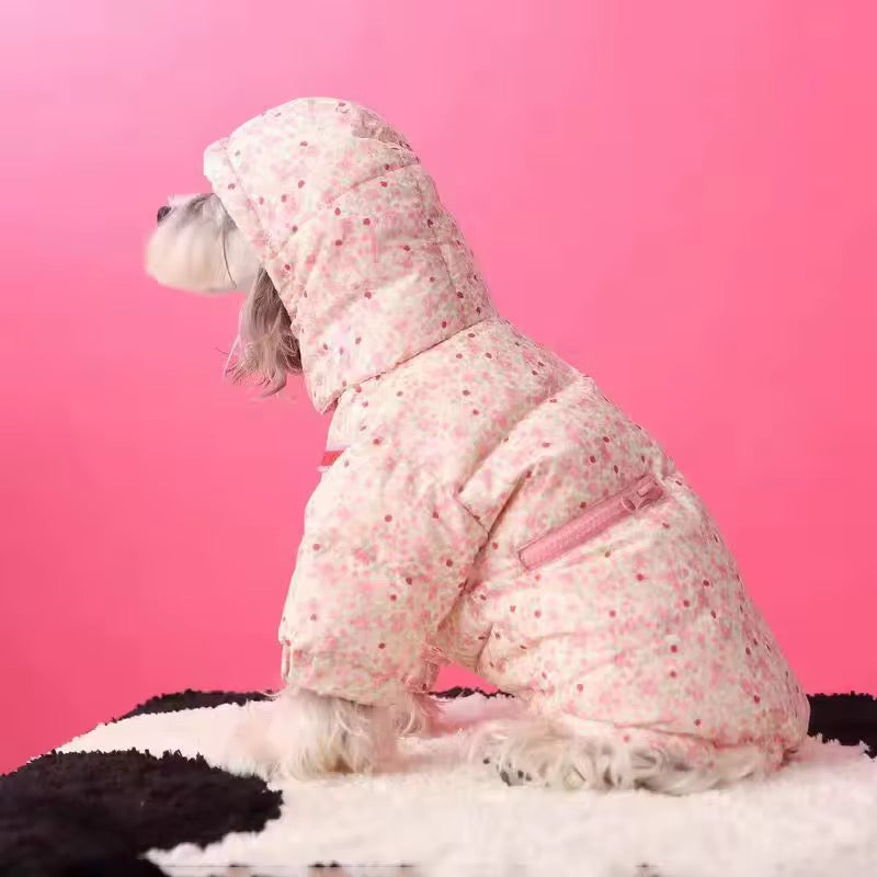 Veste de printemps