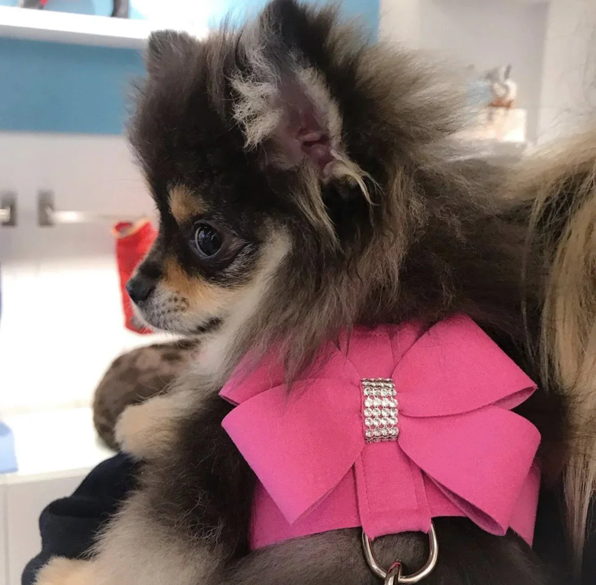Pink Rhinestone Dog Harness & Leash Set