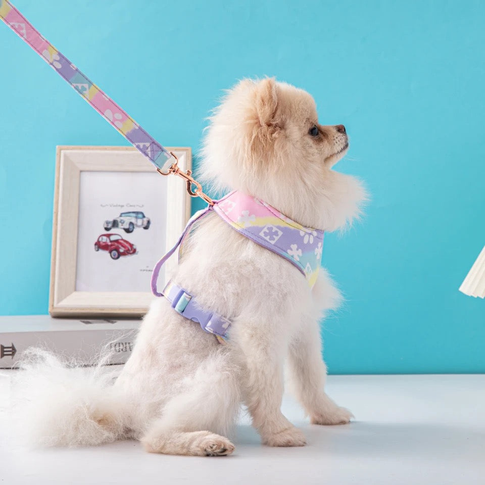 Chewy Vuittawn Dog Harness & Leash Set