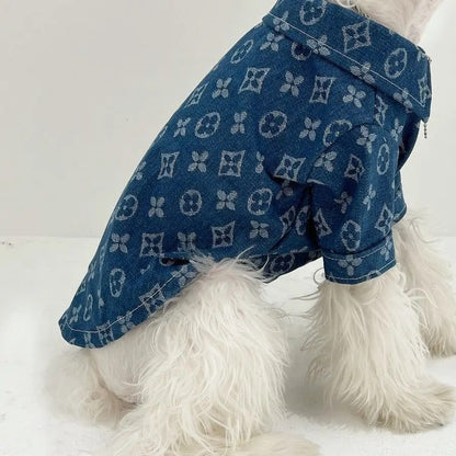 Chemise en jean Chewy Pawtton – Chemise pour chien
