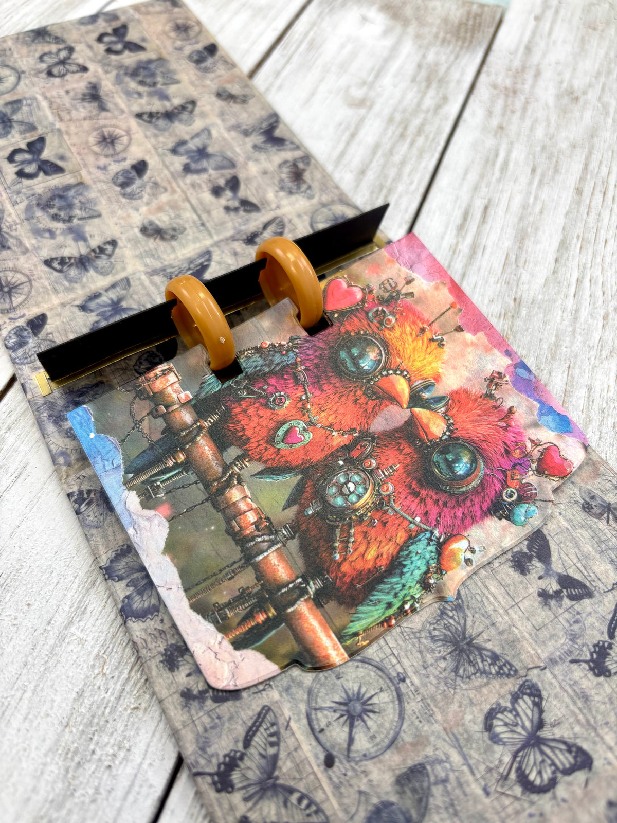 AALL and Create - Disques de reliure - Caramel
