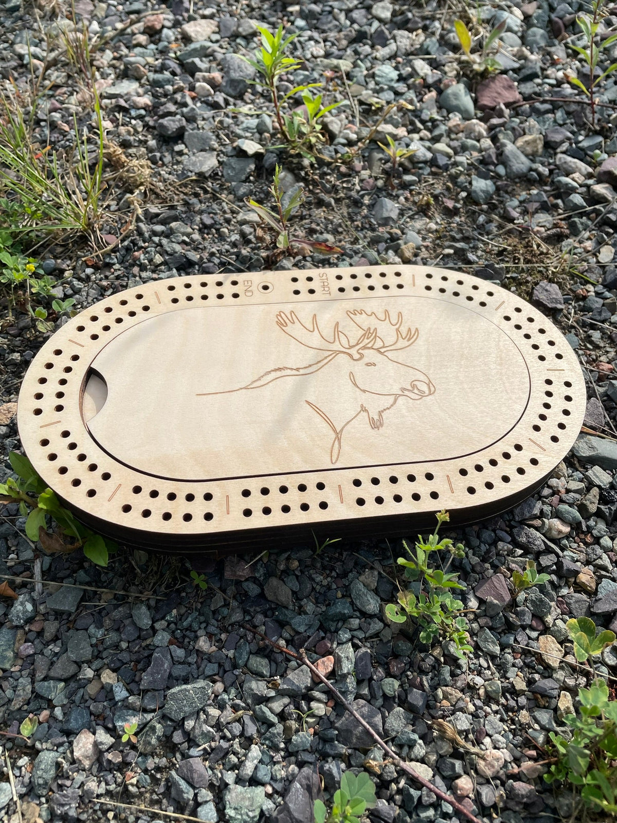 Jeu de cribbage de voyage pour 2 joueurs
