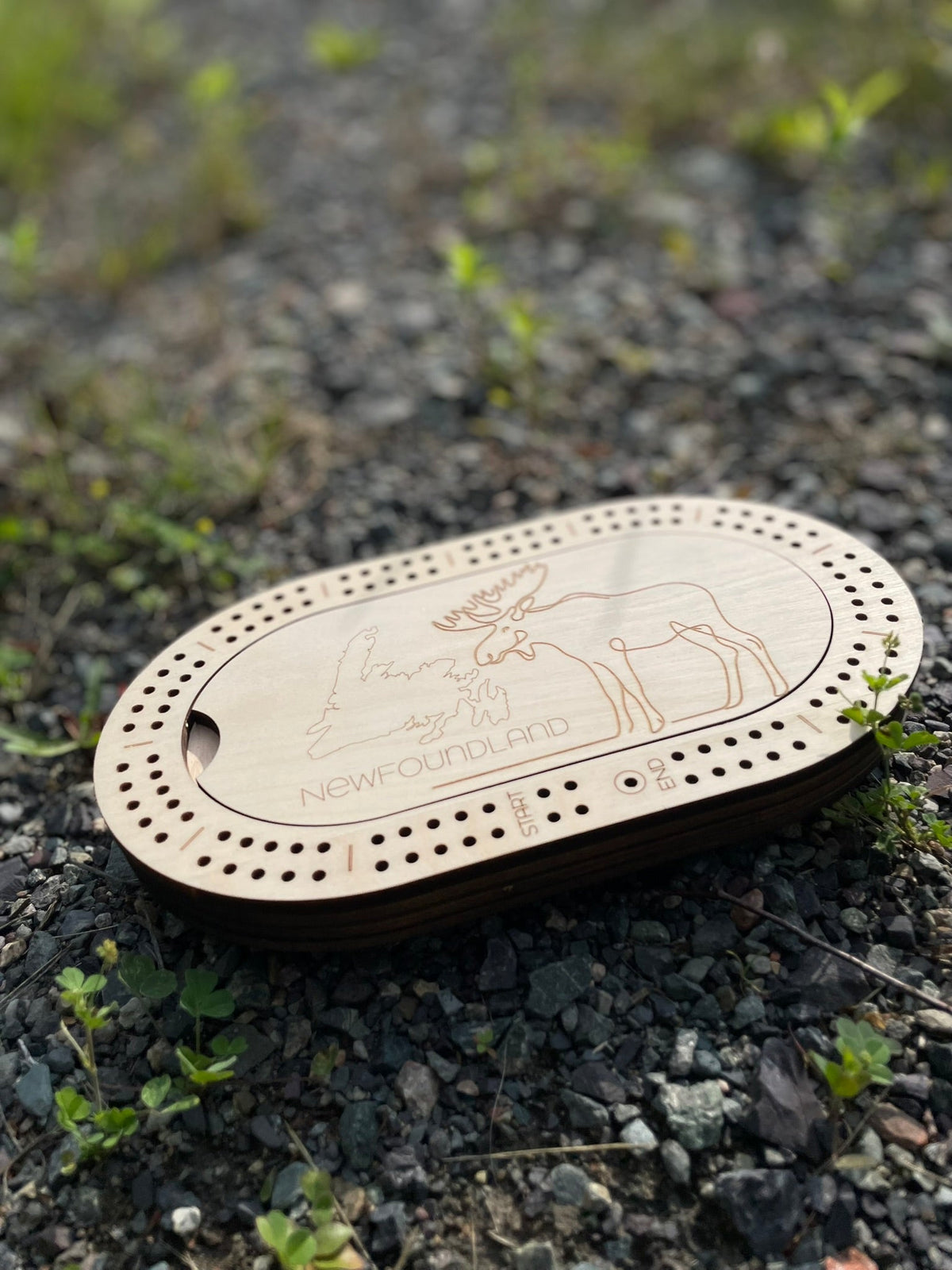 Jeu de cribbage de voyage pour 2 joueurs