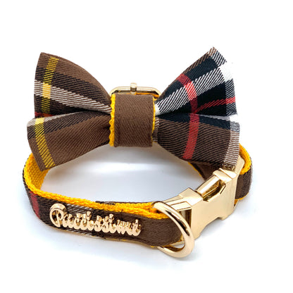 Collier médaillon pour chien