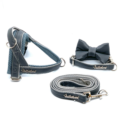 Shadow dog bow tie