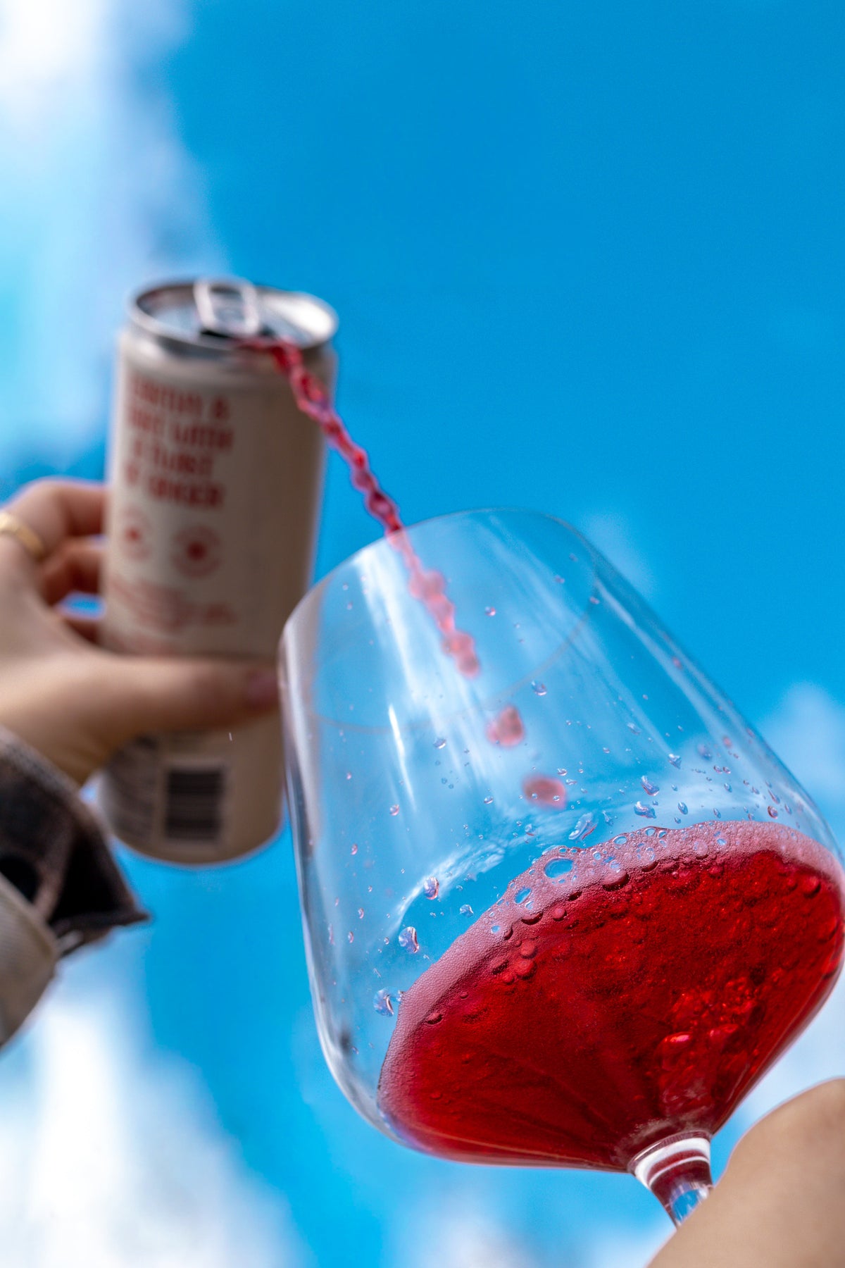 Hibiscus Spritzer